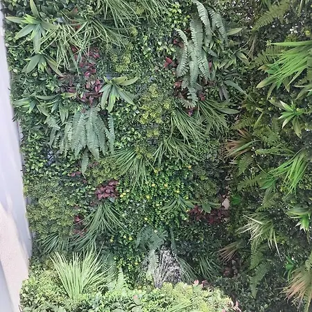 Sohja Apartment Cannes